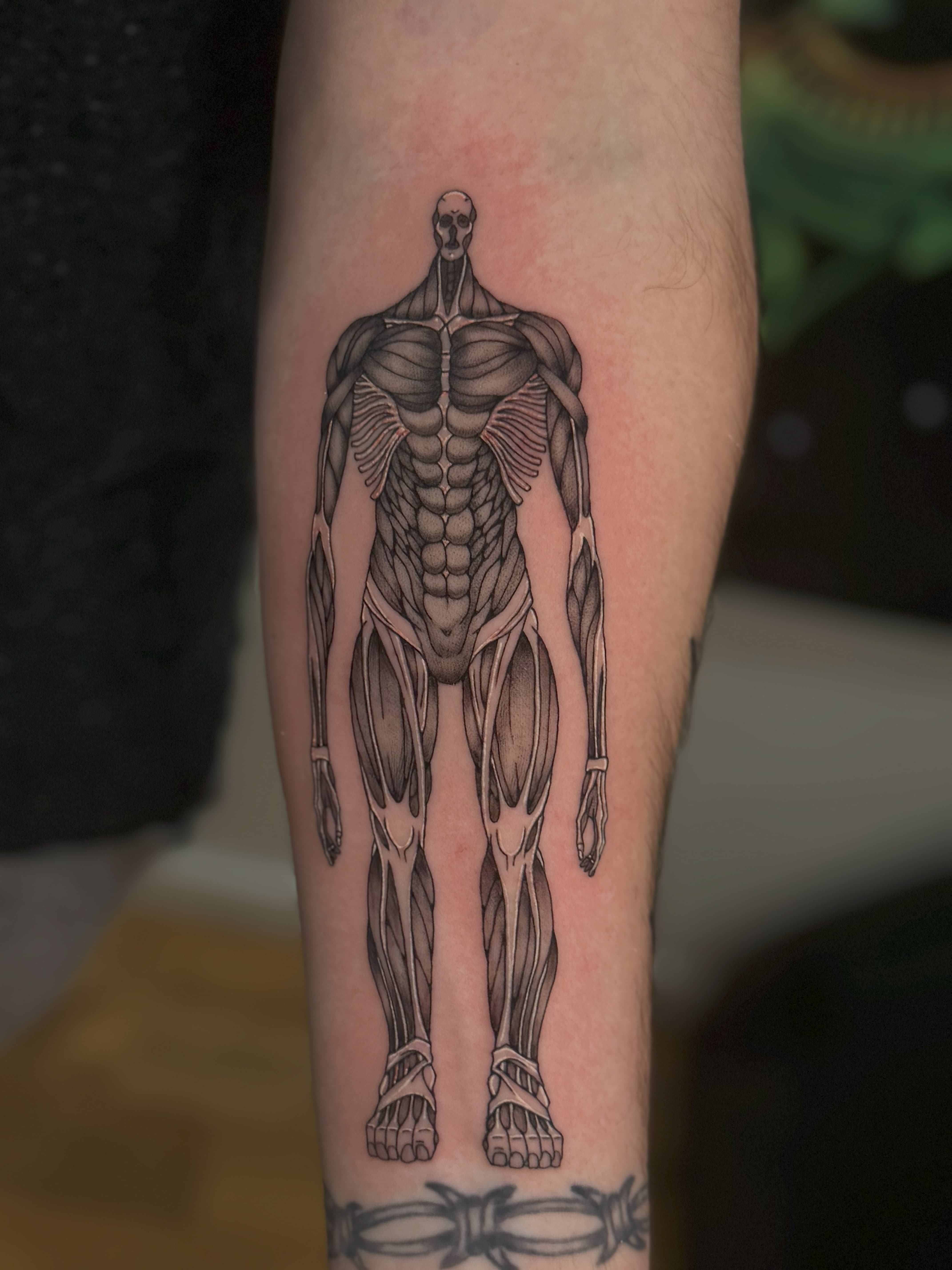 Colossal Titan